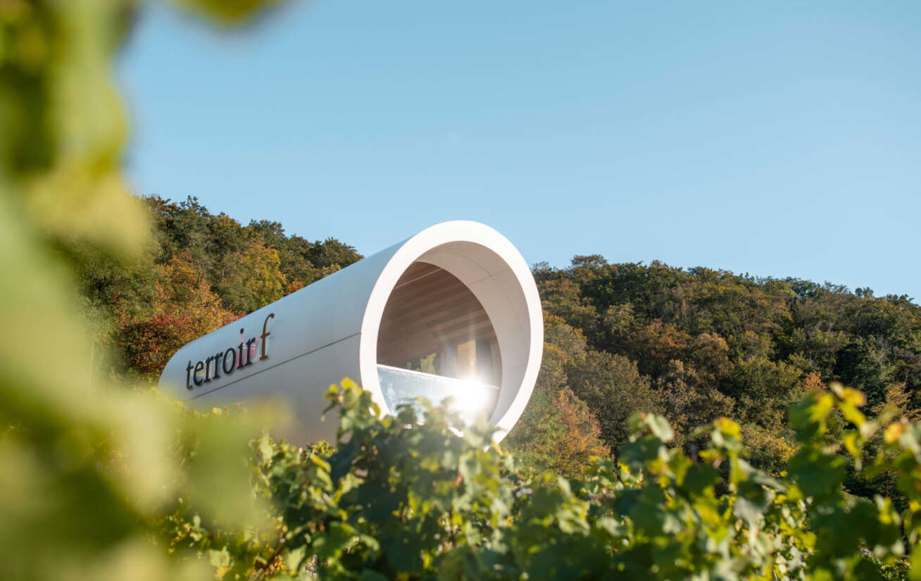 Teaser terroirf
