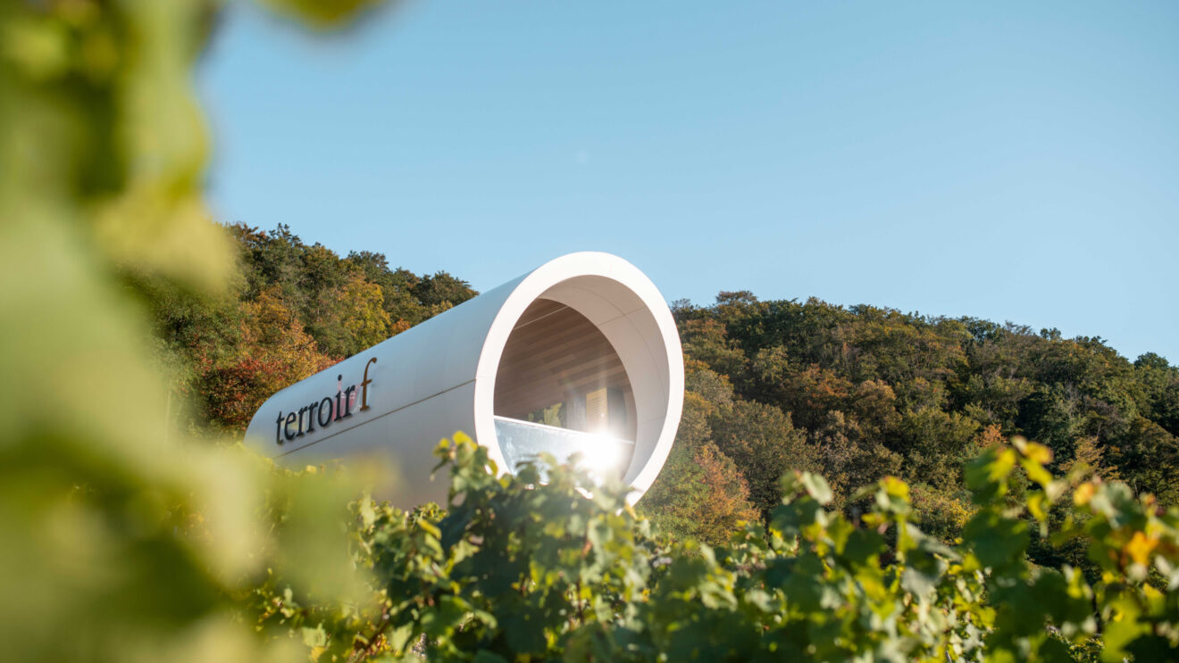 Teaser terroirf
